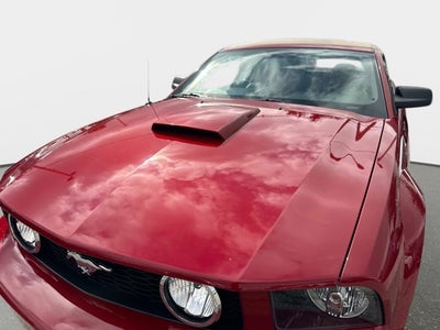 2008 Ford Mustang GT Premium