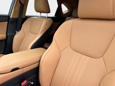 2023 Lexus NX 350 Premium