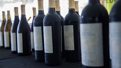 St. Pete Food & Wine Festival - great wine